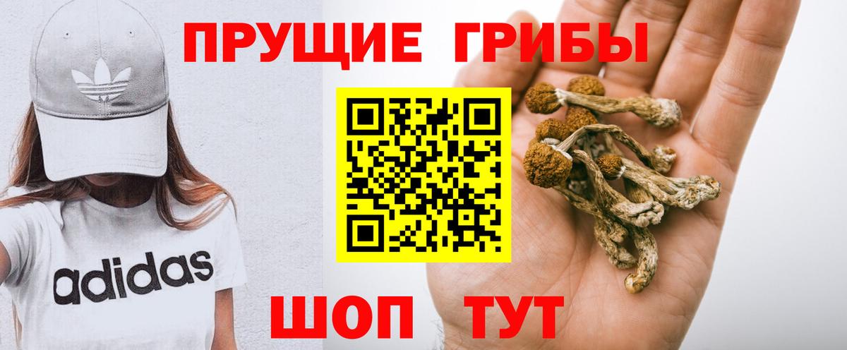 Среднеуральск  Галлюциногенные грибы Magic Shrooms  Вход с VPN  Псилоцибиновые грибы Psilocybe 